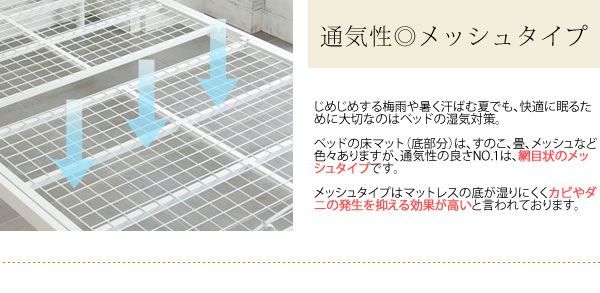 セレスティア