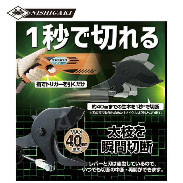 高枝