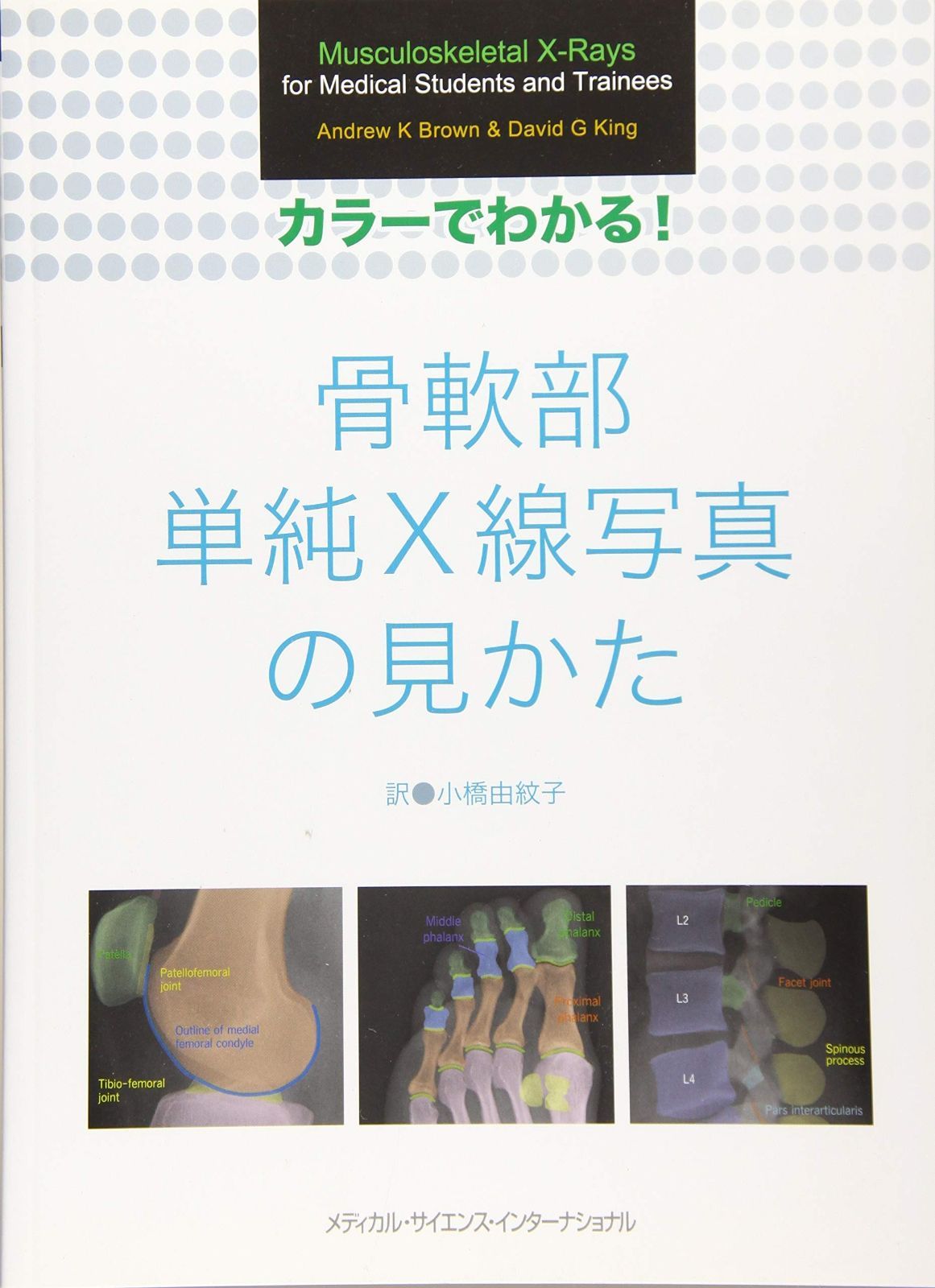 RM 確認用です。　Ｌサイズ 特価セール】Litume 170 x 122 cm 柔らかい 防災 飛行機 旅