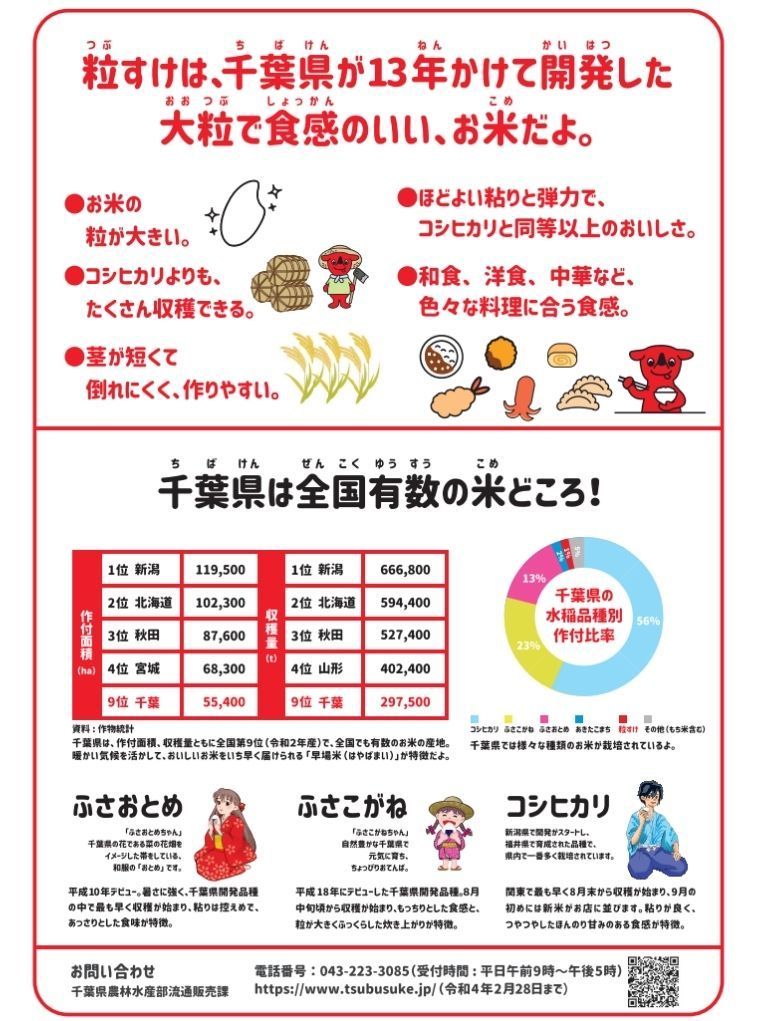 最大50％オフ！ 令和４年 千葉県産 粒すけ 15Kg 体に優しい減農薬米