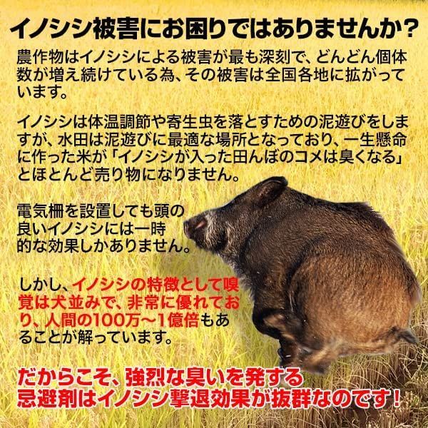イノシシなぜ逃げるニュー改訂版50枚セット 臭い効果が大きく イノシシなぜ逃げるニュー改訂版50枚セット 臭い効果が大きく