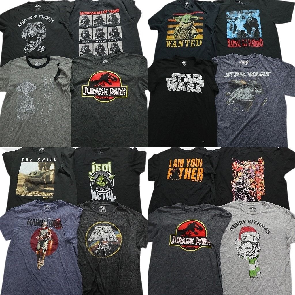 古着卸 まとめ売り 映画・ドラマ 半袖Tシャツ 16枚セット (メンズ L ) ジュラシックパーク スターウォーズ TS11 MR7821