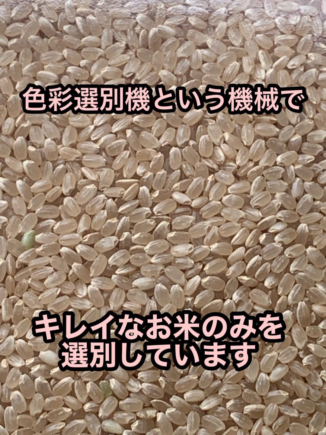 【イセヒカリ】玄米10kg 新米　令和4年度兵庫県産 無農薬無施肥の自然栽培米