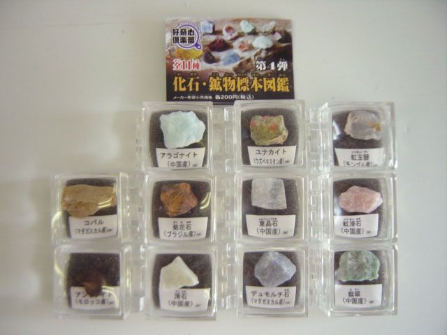 ♯Hyi22EC 好奇心倶楽部 隕石・鉱物 標本 図鑑 11種 ♯Iui23GH 好奇心倶楽部 化石・鉱物 標本 図鑑 4 フルコンプ 11