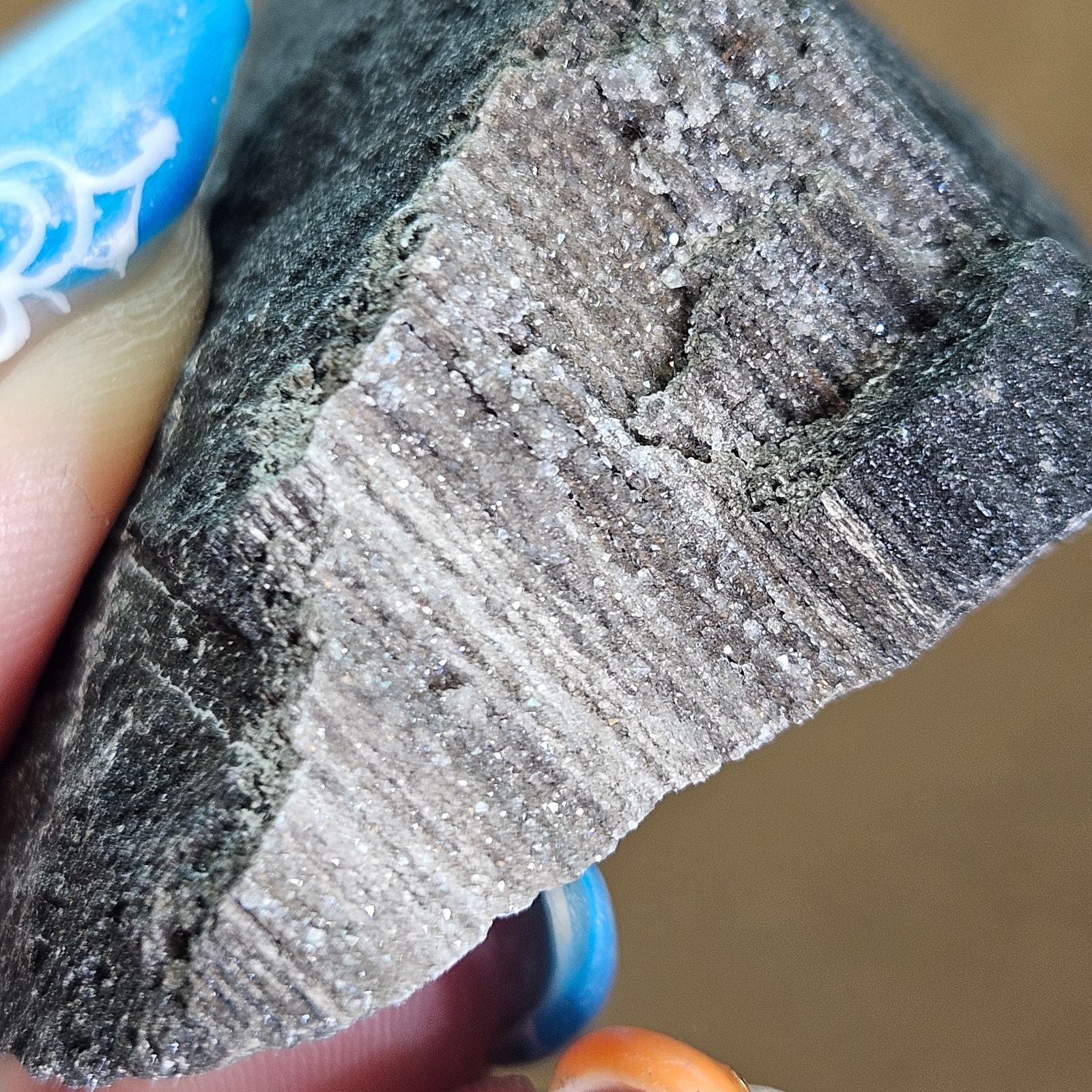 激レア✨キラキラ✨クォーツオンペトリファイトウッド✨原石