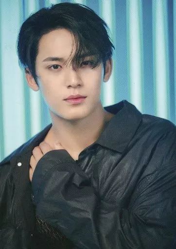 SEVENTEEN HEAVEN トレカ MINGYU ミンギュ SEVENTEEN ミンギュ Heaven carat ver バインダー トレカ 28枚