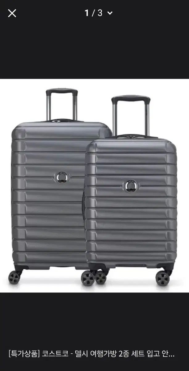 デルシーキャリーセット 22 インチ 29 インチ