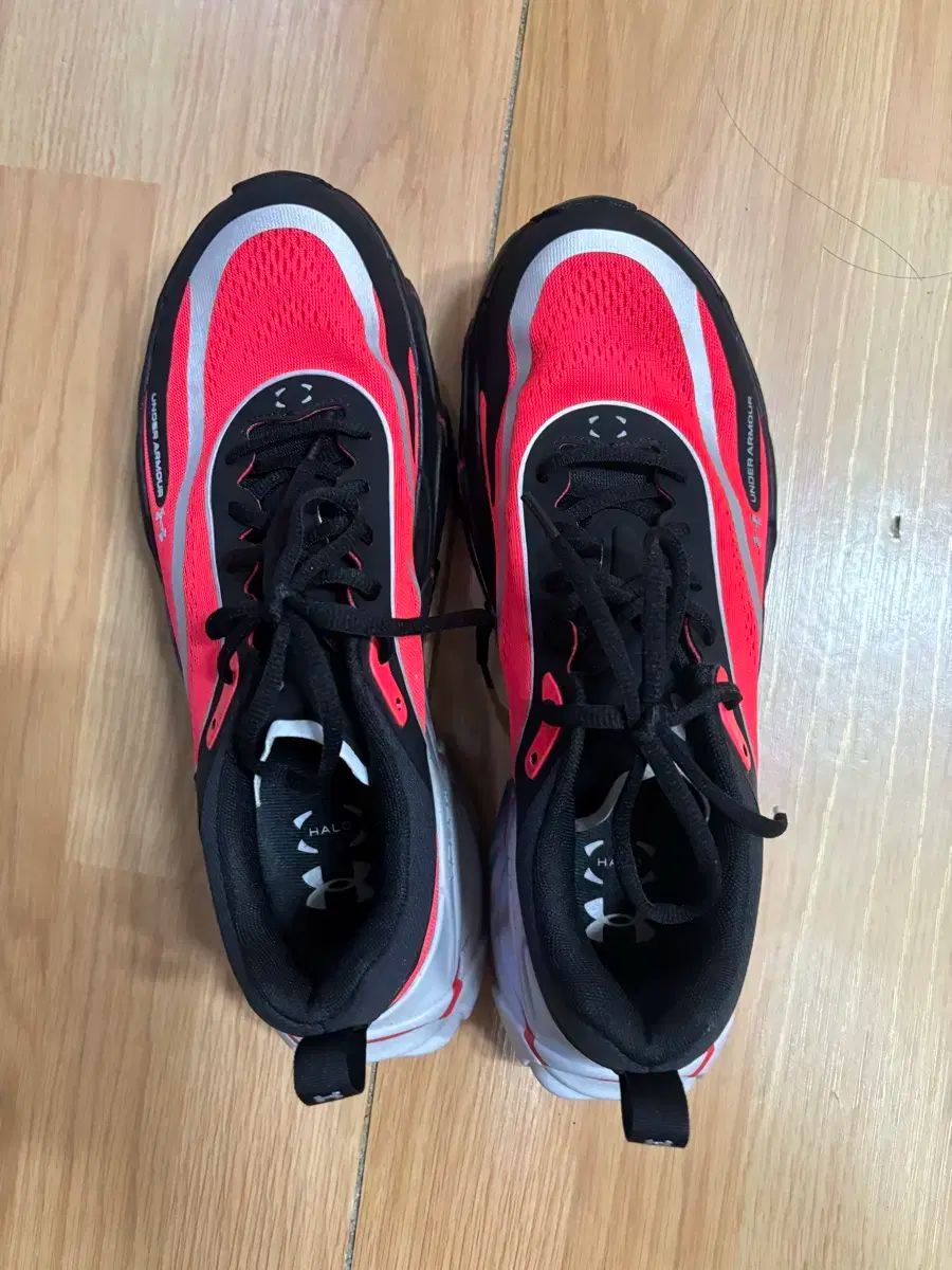 ヘイローレーサー