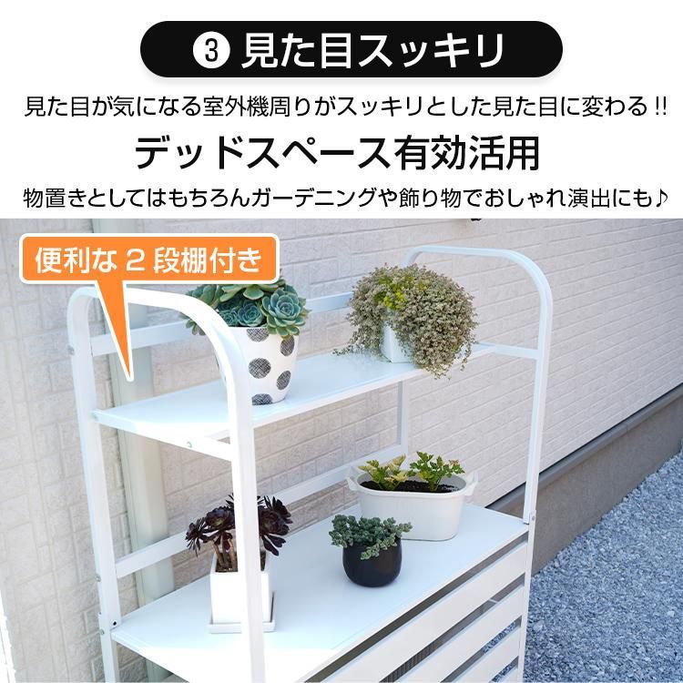 棚付き
