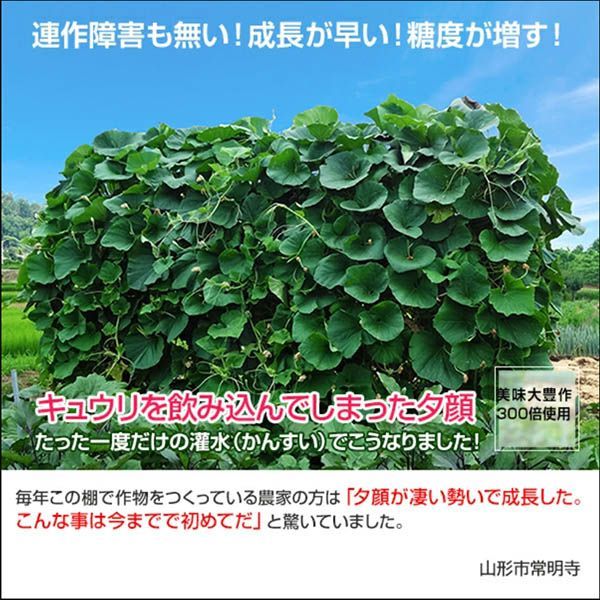 植物活力液 美味大豊作GT-S ５リットル 作物が早く大きく育ち収穫量も増加！ Amazon.co.jp: 肥料 スーパー植物活力液 美味大豊作GT-S 5