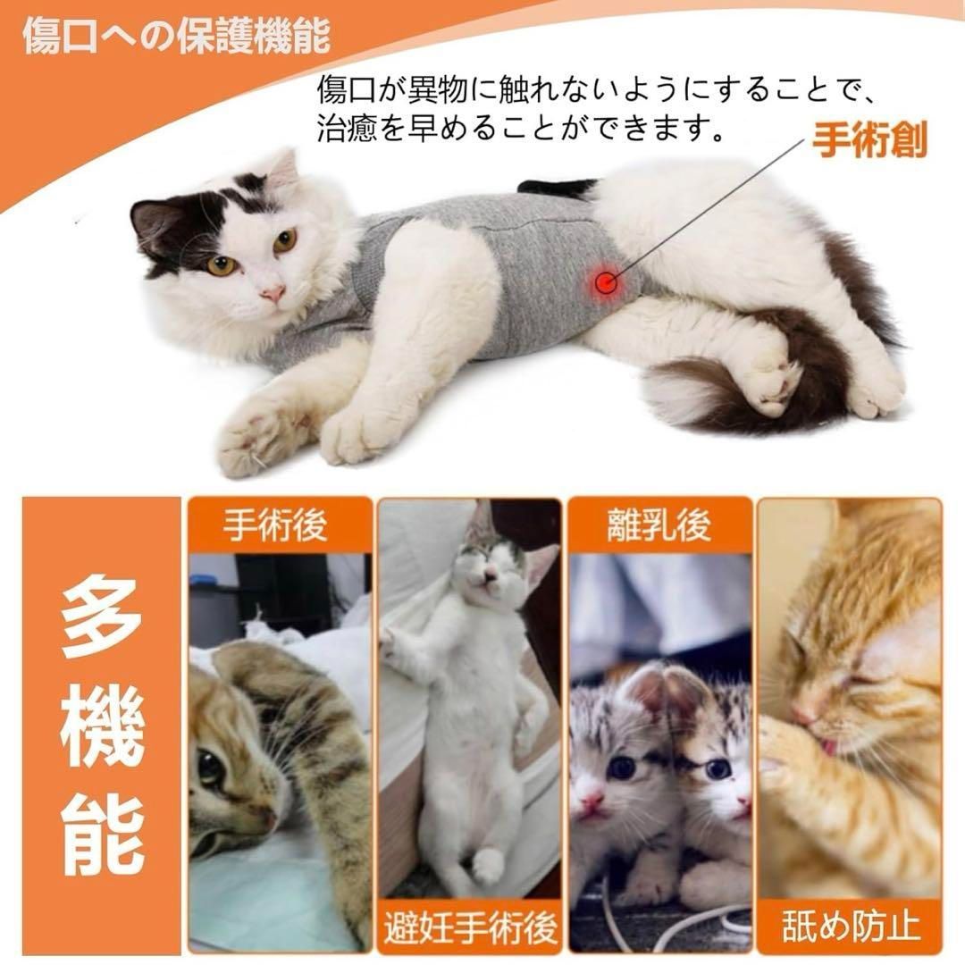サイズS