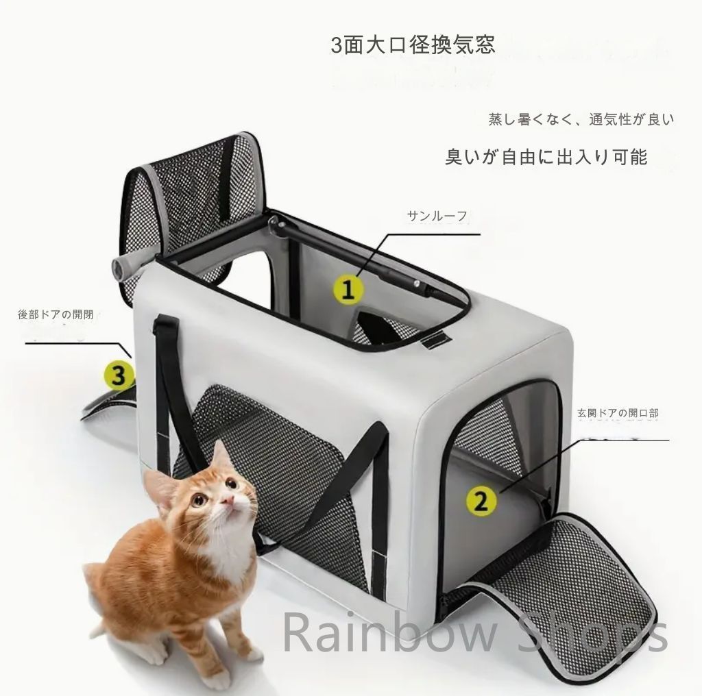 ブラック ピンク