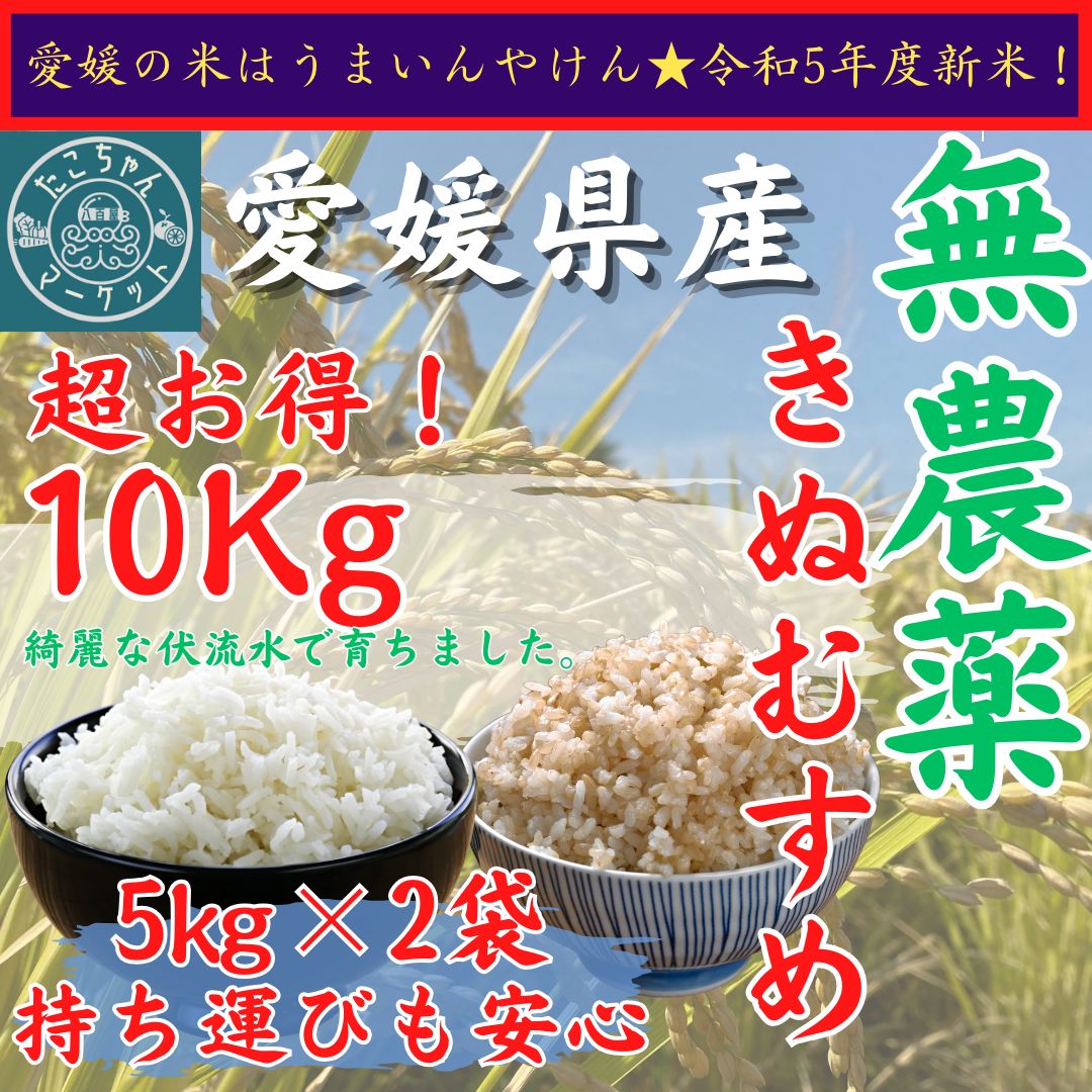無農薬栽培 令和5年度 新米【玄米・白米選べます】愛媛県産 お米 きぬ