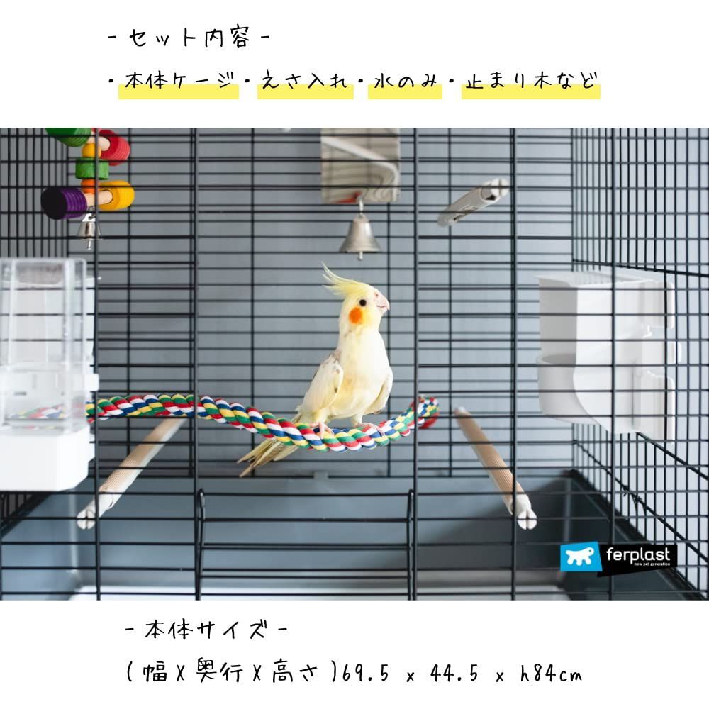 鳥かご オカメインコ