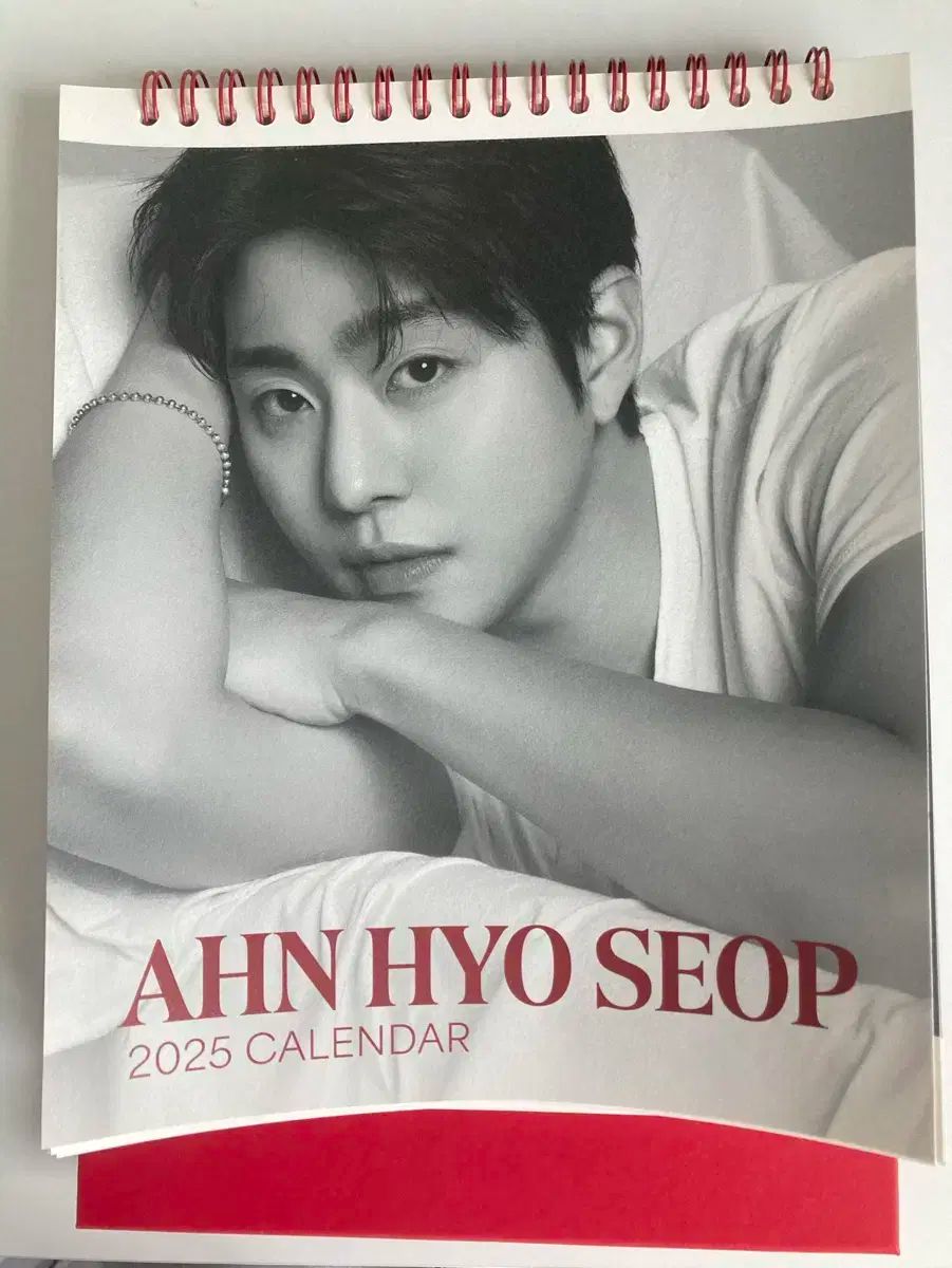 アン・ヒョソプ(AHN HYOSEOP) 2025 カレンダー アンヒョソプAHN