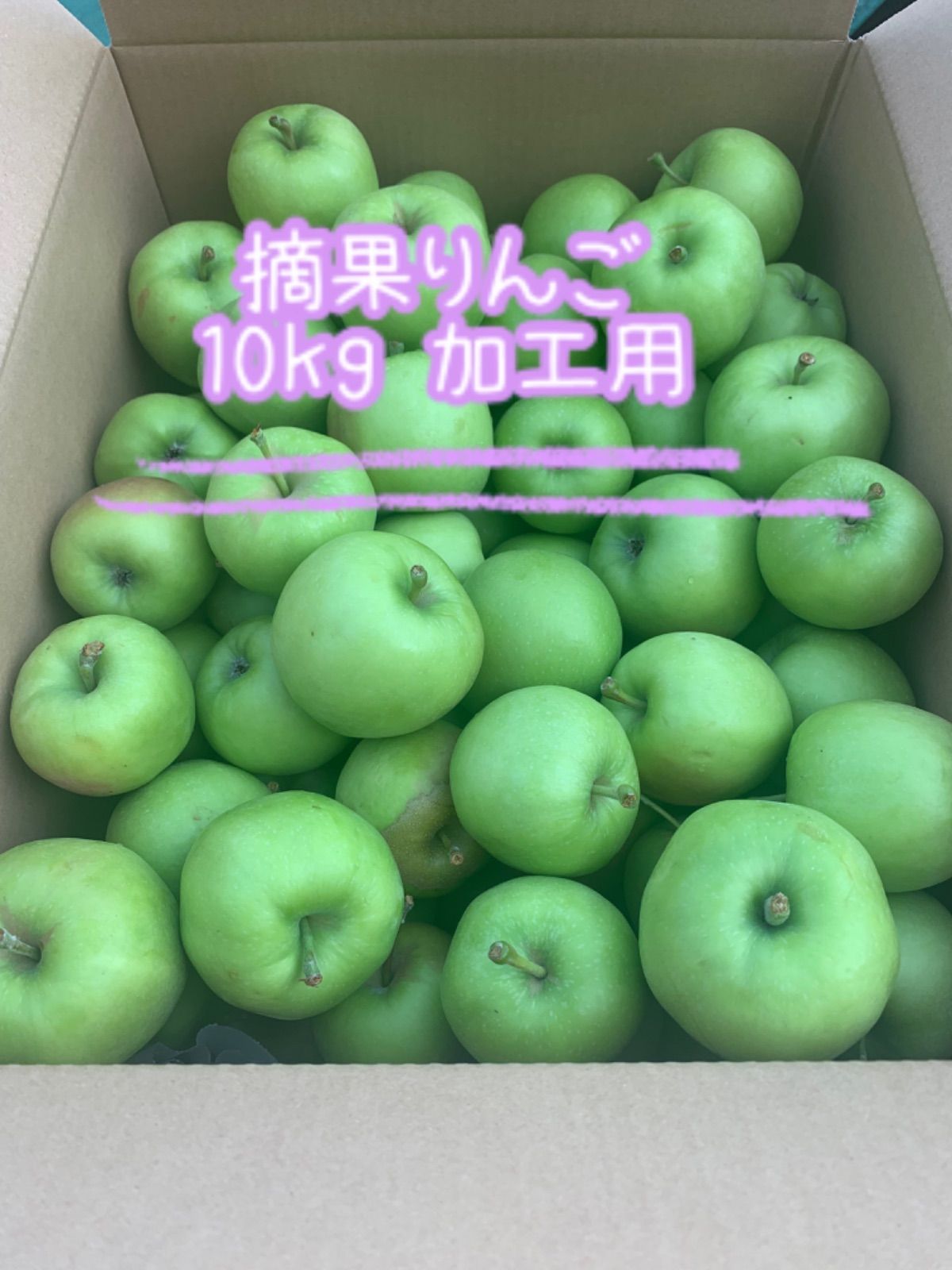 62%OFF!】 加工用 摘果リンゴ約10kg
