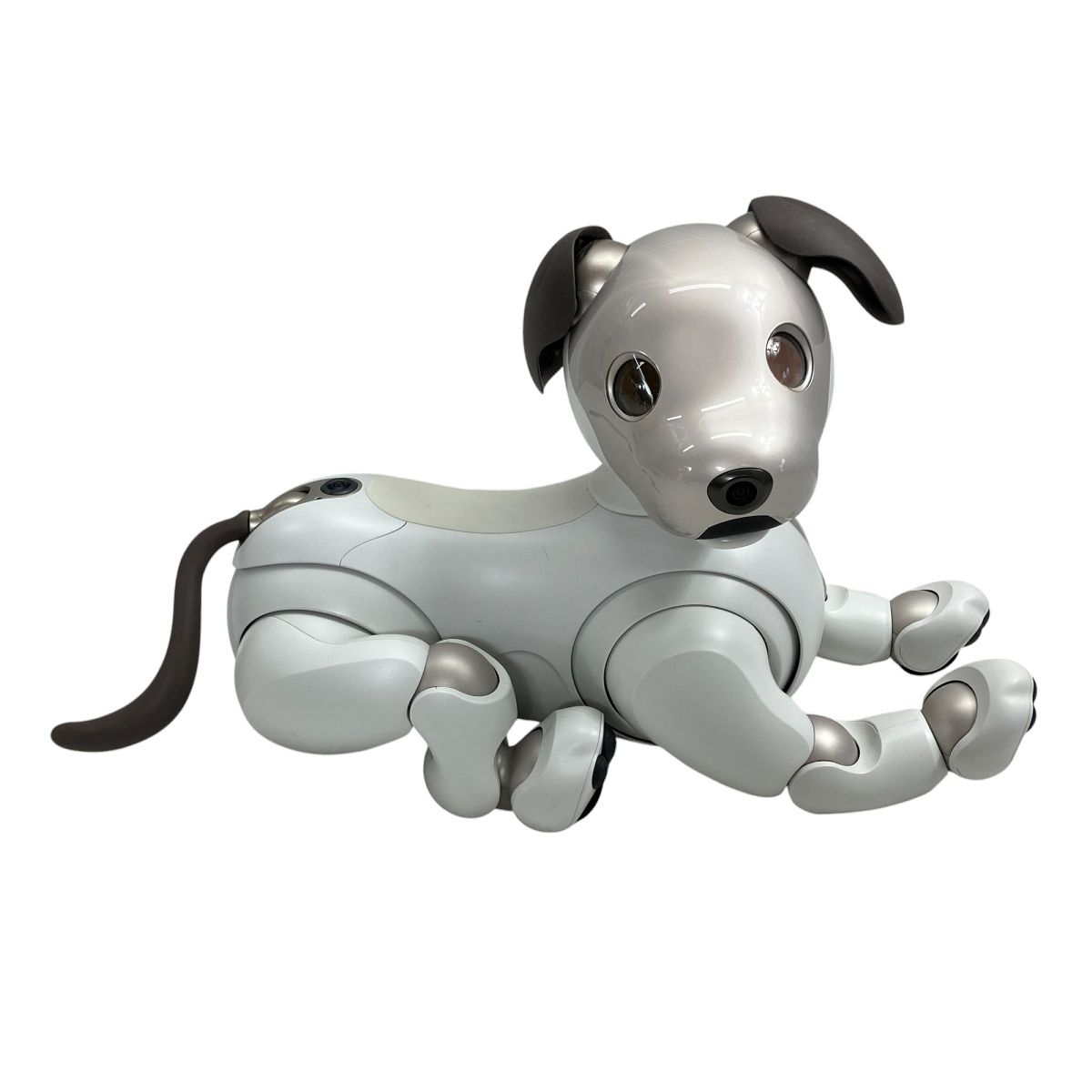 SONY ソニー aibo アイボ ERS-1000（ソニー アイボ ERS-1000