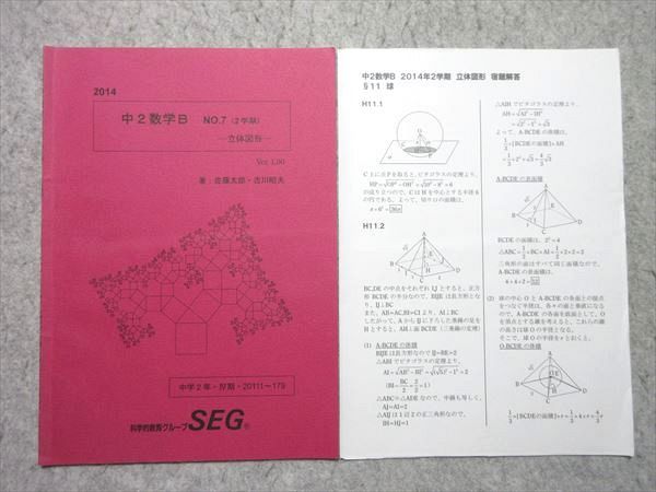 SEG(科学的教育グループ) 中2数学B №7(2学期) 立体図形 2014 IV