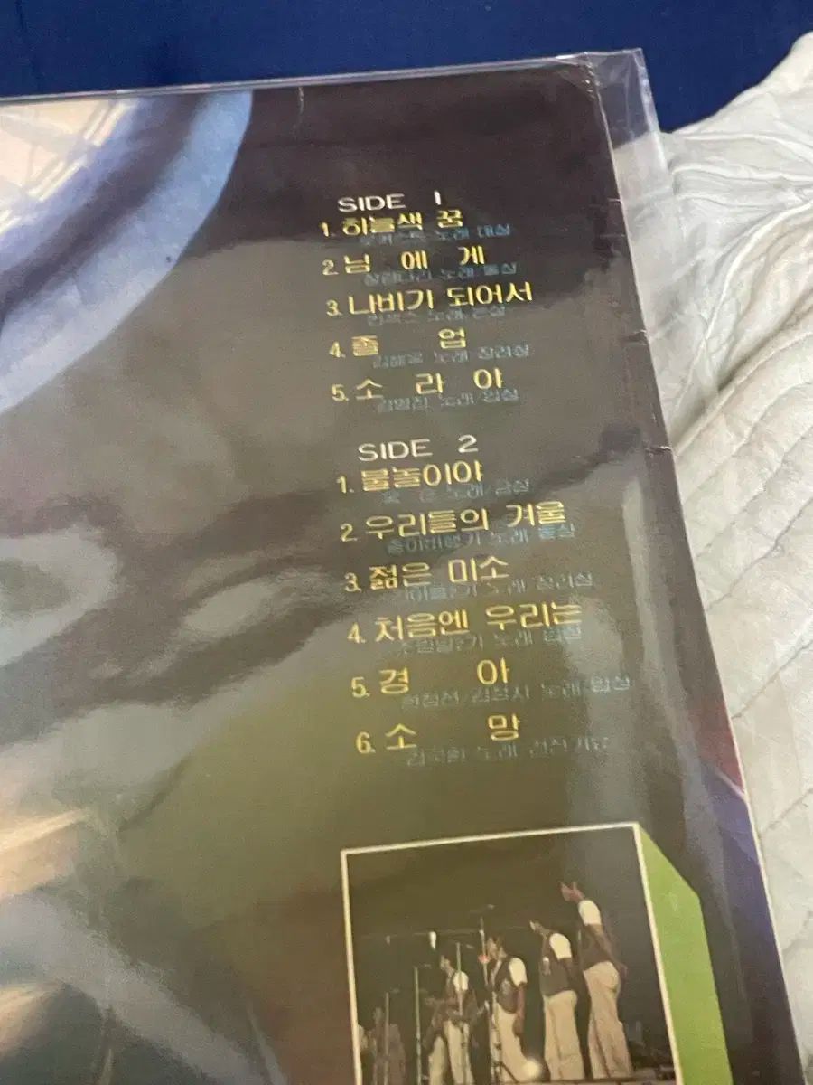 若い男の ミュージックフェスティバル