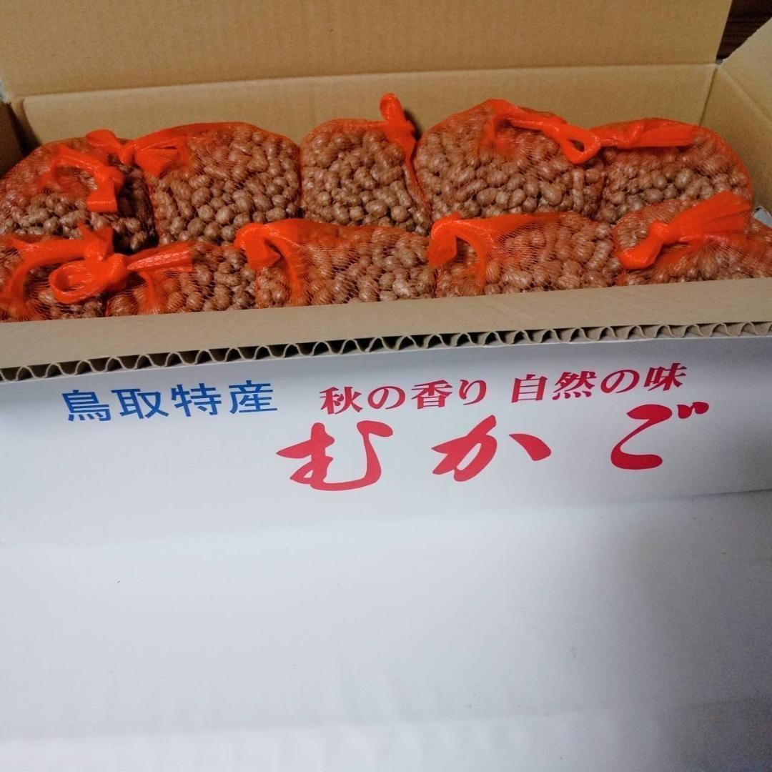 鳥取県産】むかご 5kg（500g×10袋） Mサイズ 長芋 ねばりっこ - あん