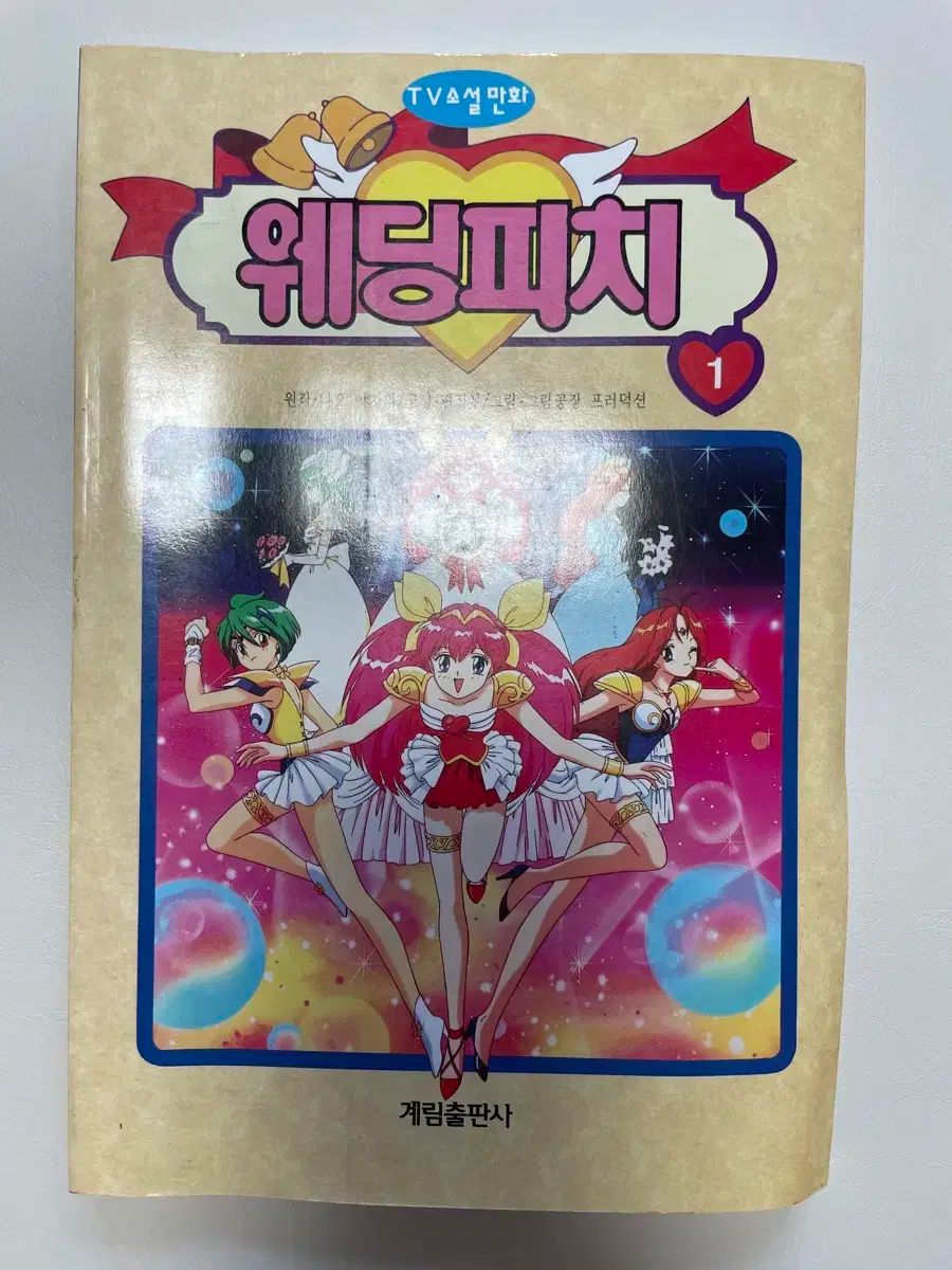 ウェディングピッチ アニメ 小説 1 巻