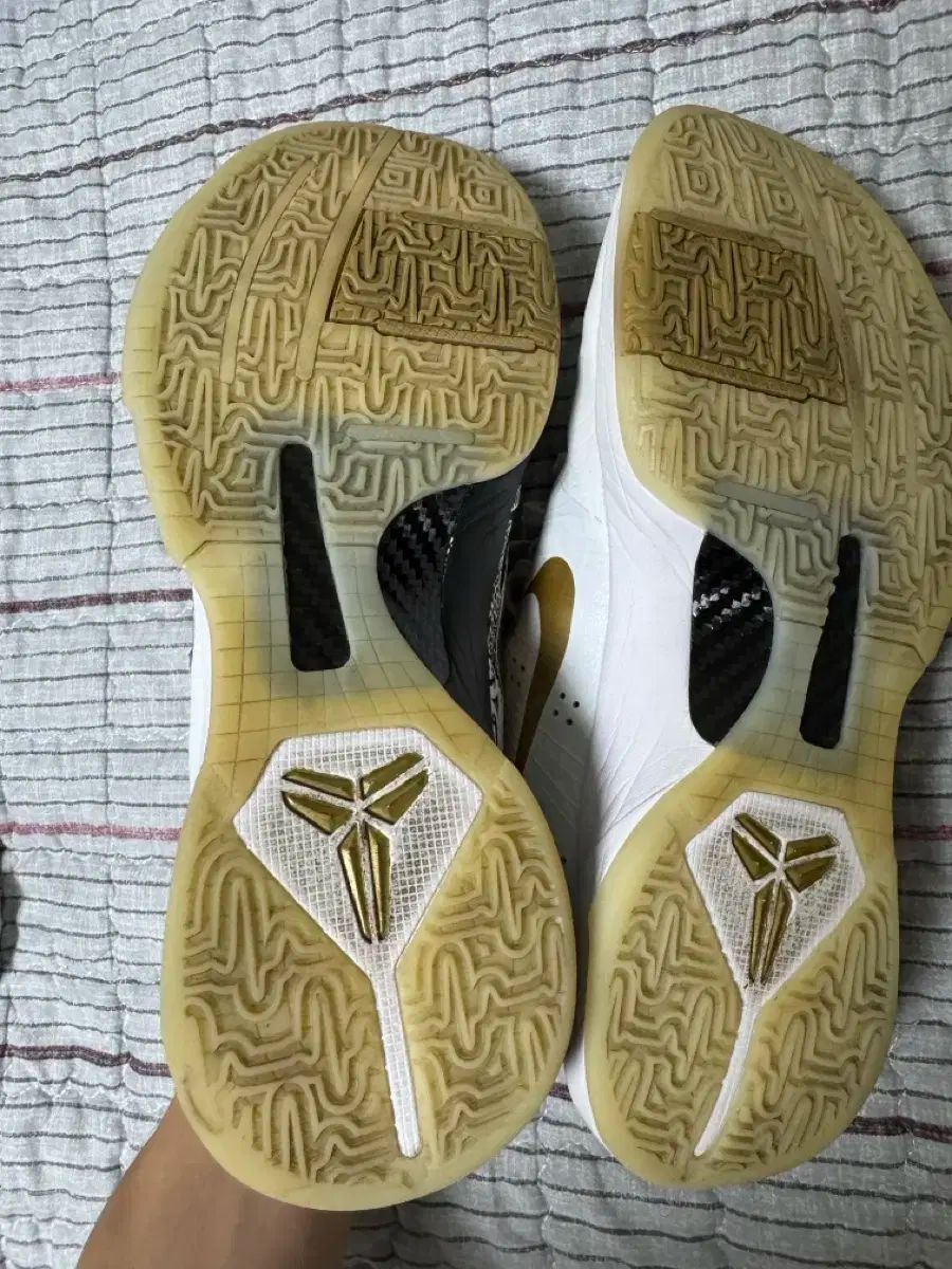 サングラス コービー 5 ビッグステージ 275