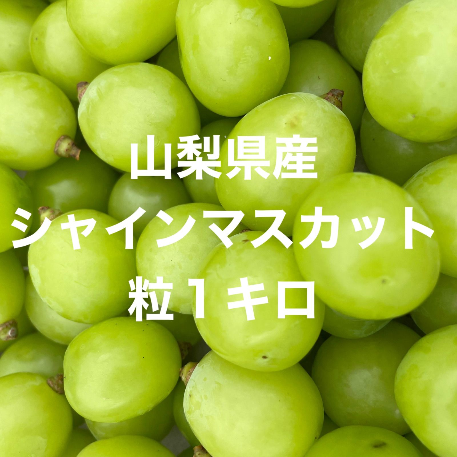 山梨県産大粒のみシャインマスカット 粒売り3kg - 果物