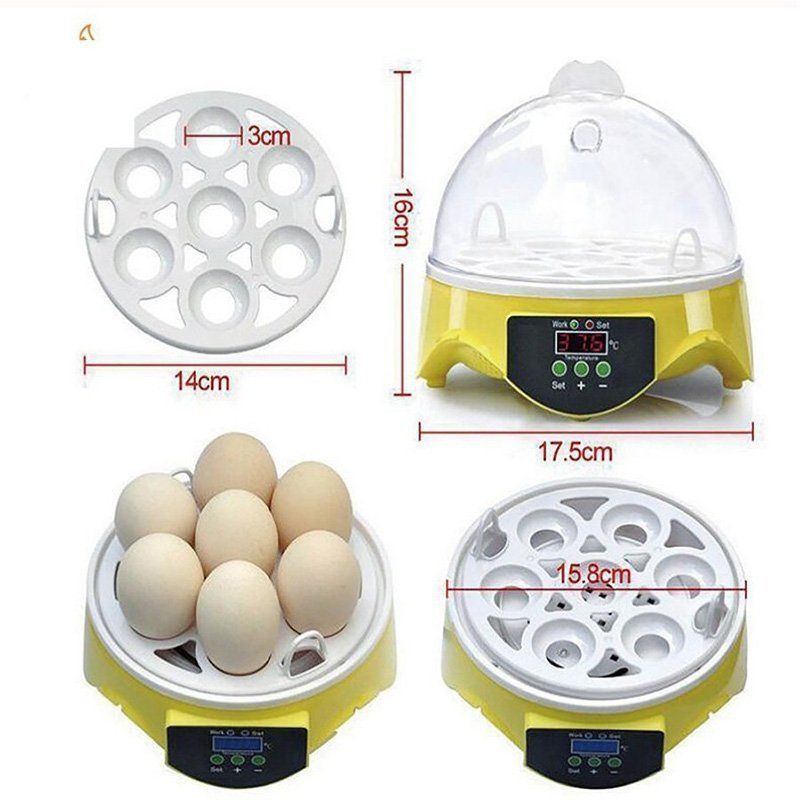 ‼️9/25まで20%off‼️多品種可能孵化器/孵卵器インキュベーター 自動孵卵器 7個入卵インキュベーター 孵卵機 孵化率アップ 鳥類