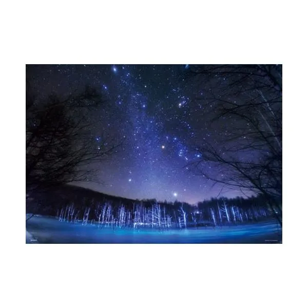 2025年最新】KAGAYA 12星座の人気アイテム - メルカリ