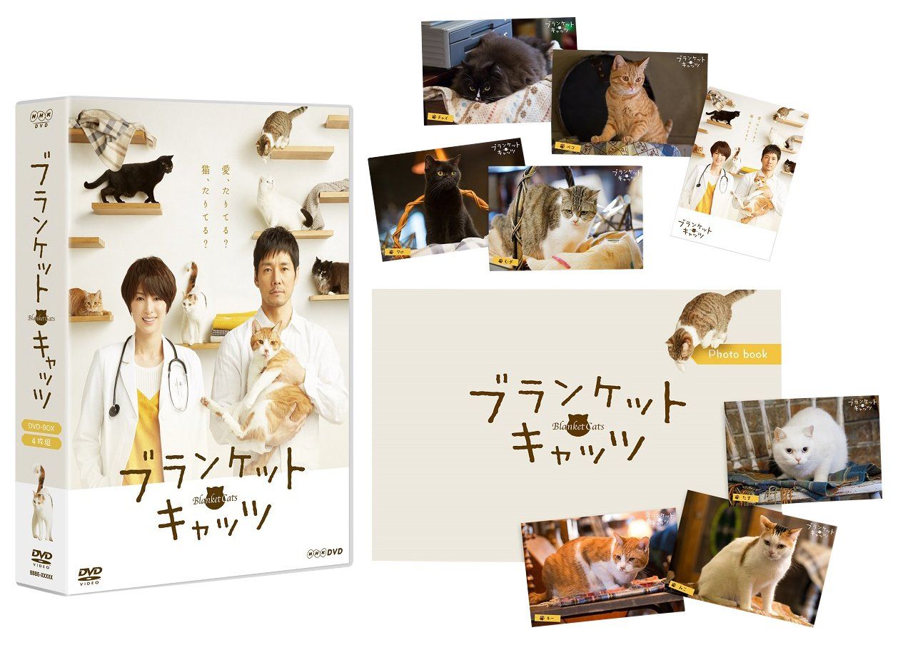 ブランケット キャッツ DVD-BOX