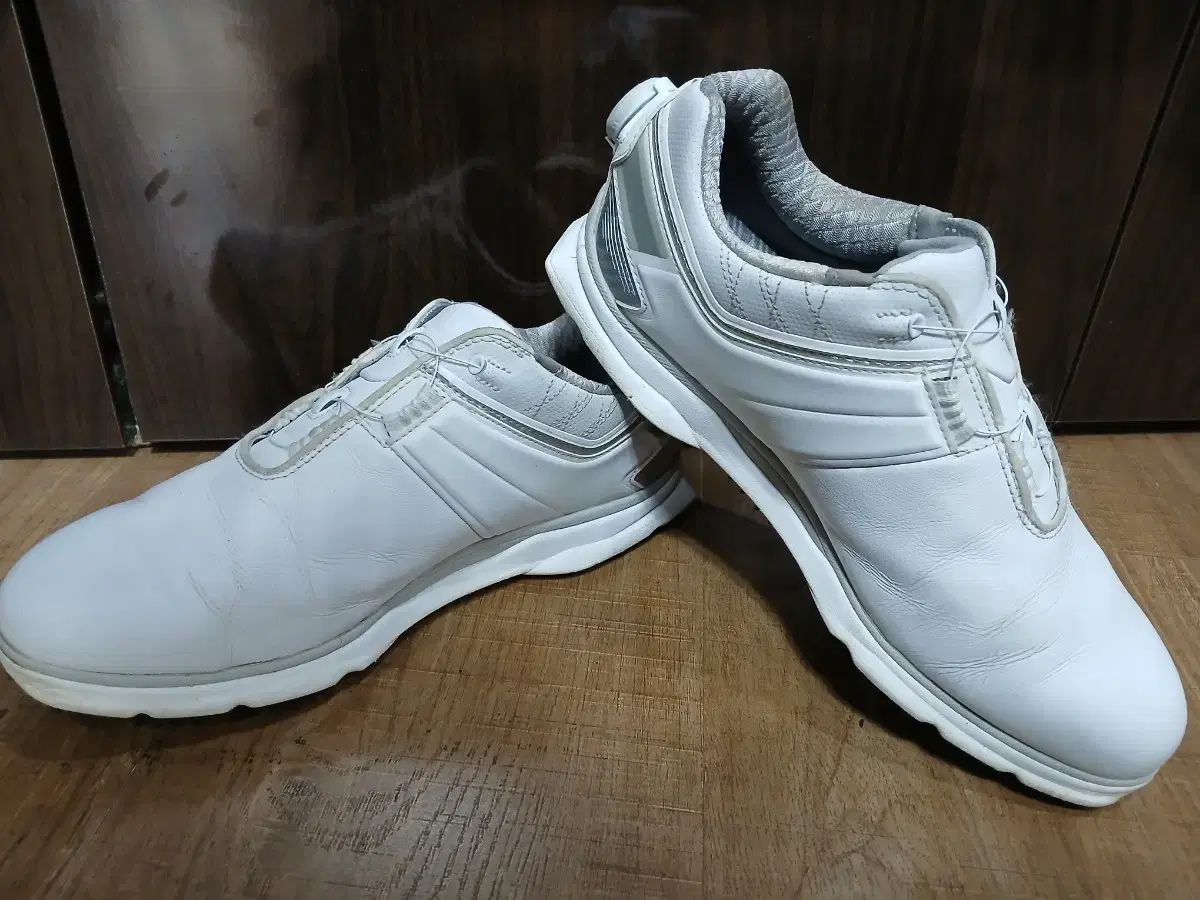 FootJoy(フットジョイ) 270mm ゴルフシューズ メンズ ゴルフシューズ