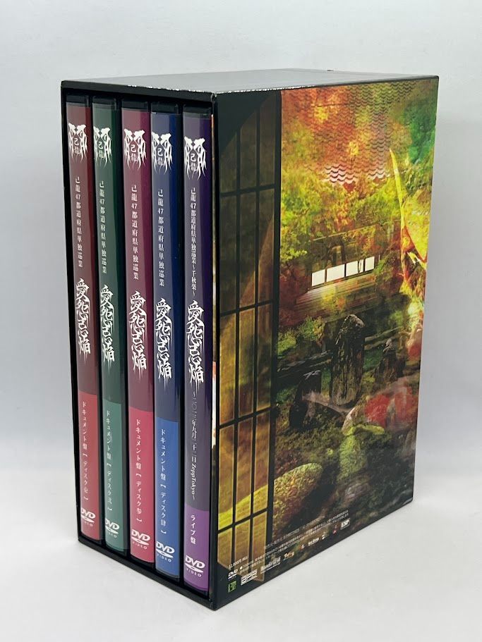 己龍 愛怨忌焔DVDBOX