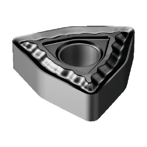 わたわたペット 羊毛フェルト作品 コーギー キャリーケース、小物付き