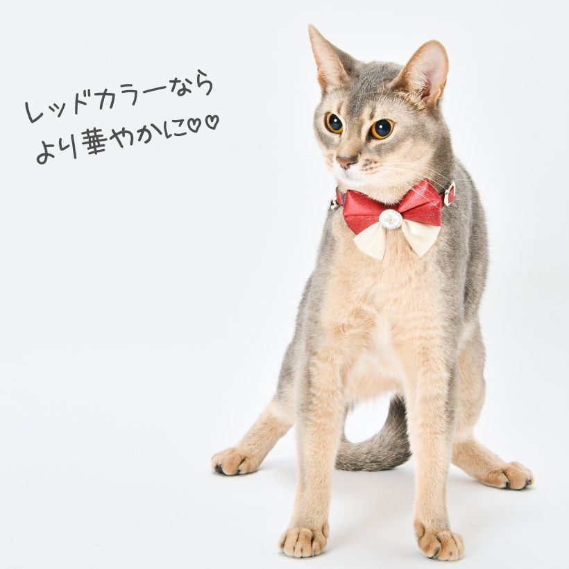 SAKURAYAMA 猫と鞠のリボン　アクセサリー SAKURAYAMA 猫と鞠のリボン アクセサリー
