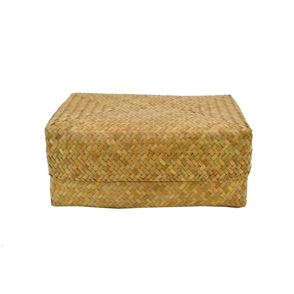 タイ製 カチュー ふた付き 四角BOX M 葛籠 収納 水草