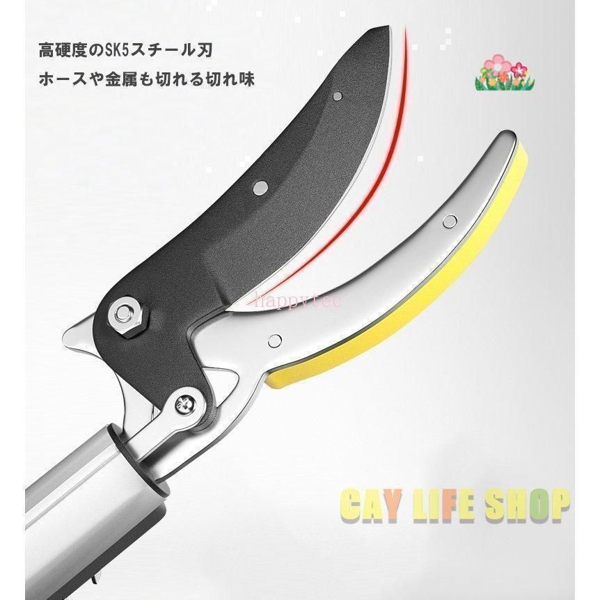 高所