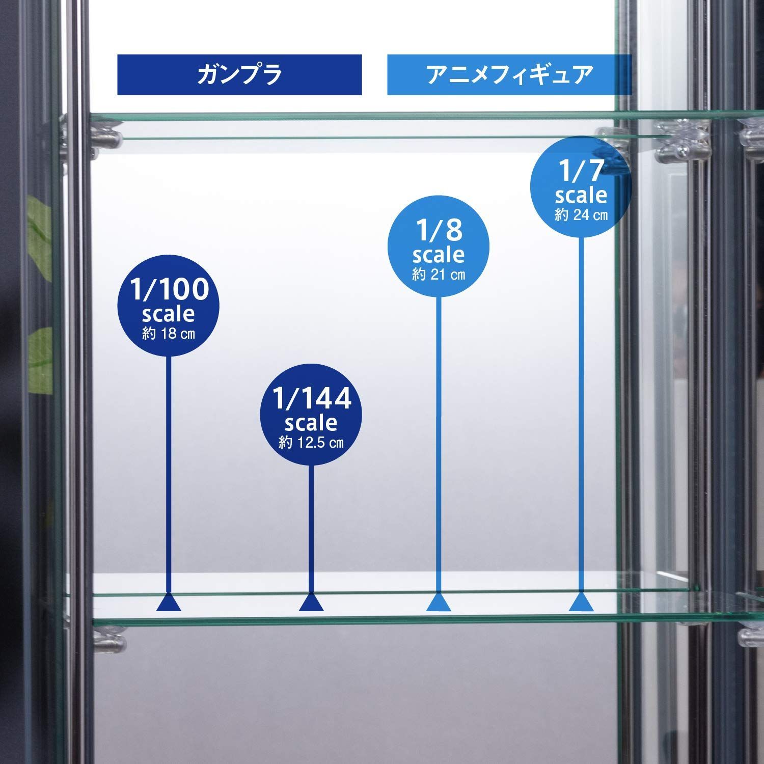 コレクションケース