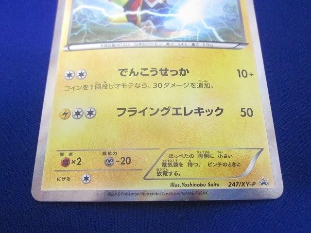 247|XY-P マスクド