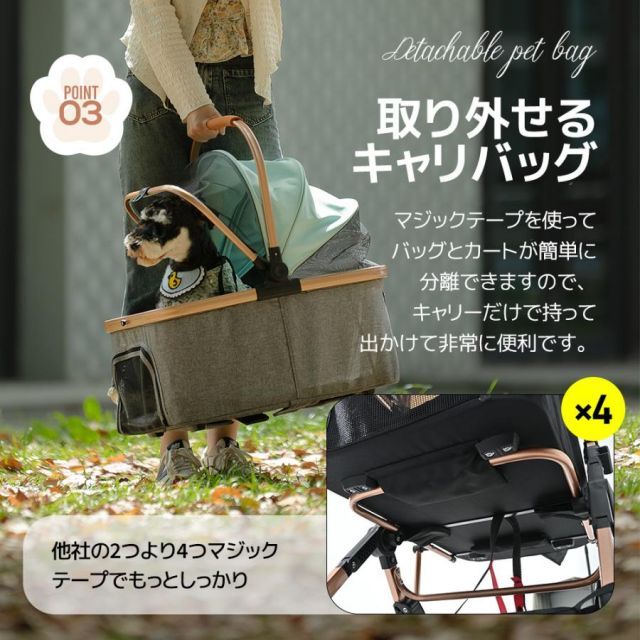 多頭 中型犬