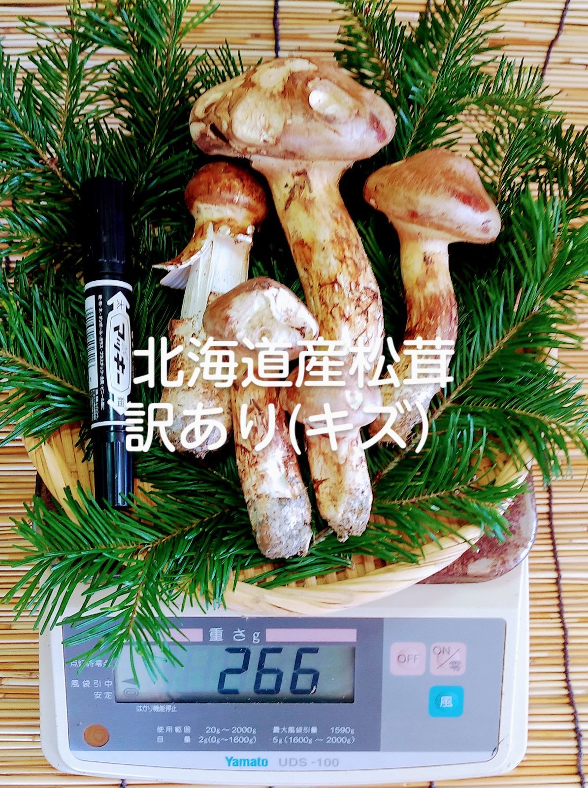 松茸 北海道天然物400グラム 2セット - 野菜