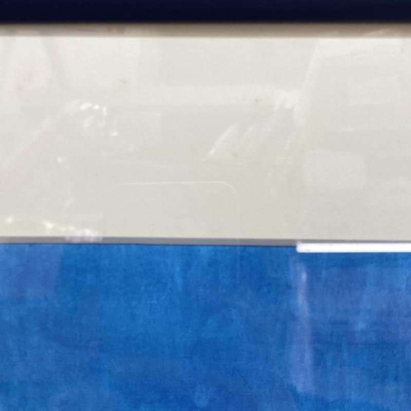 トルメキア戦役