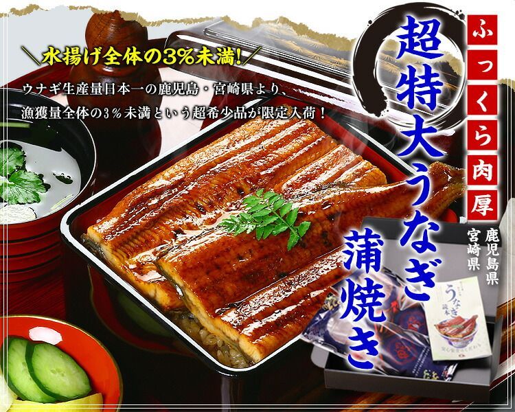 ウナギ 鰻