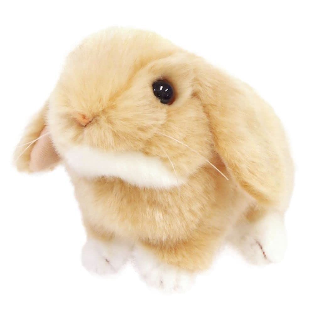 うさぎ出品 51JKEPnp3UL._UF350,350_QL50_.jpg