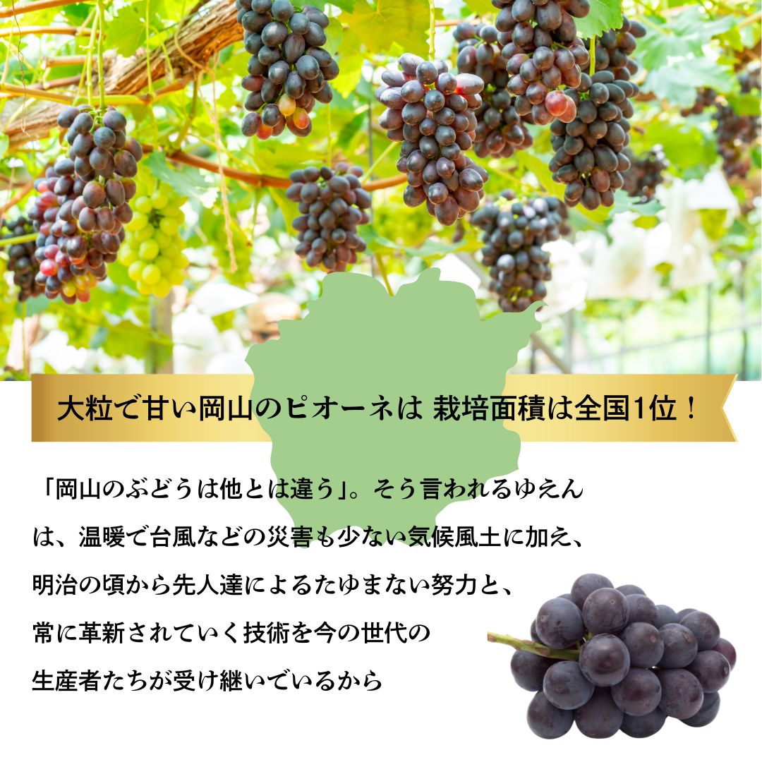 ギフト