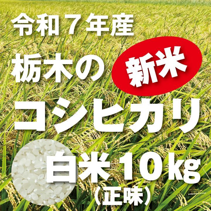 令和7年 産栃木のコシヒカリ 白米 精米 10kg