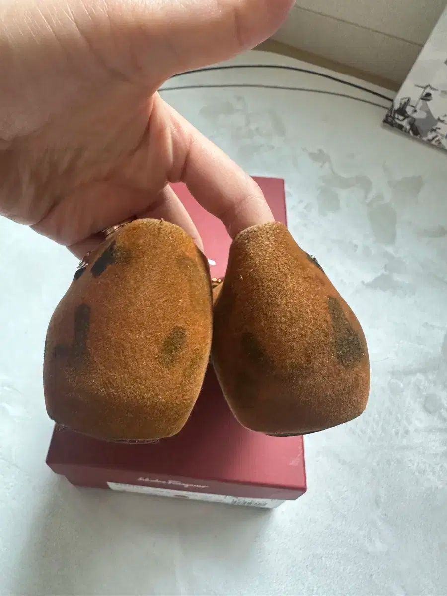 X Melissa