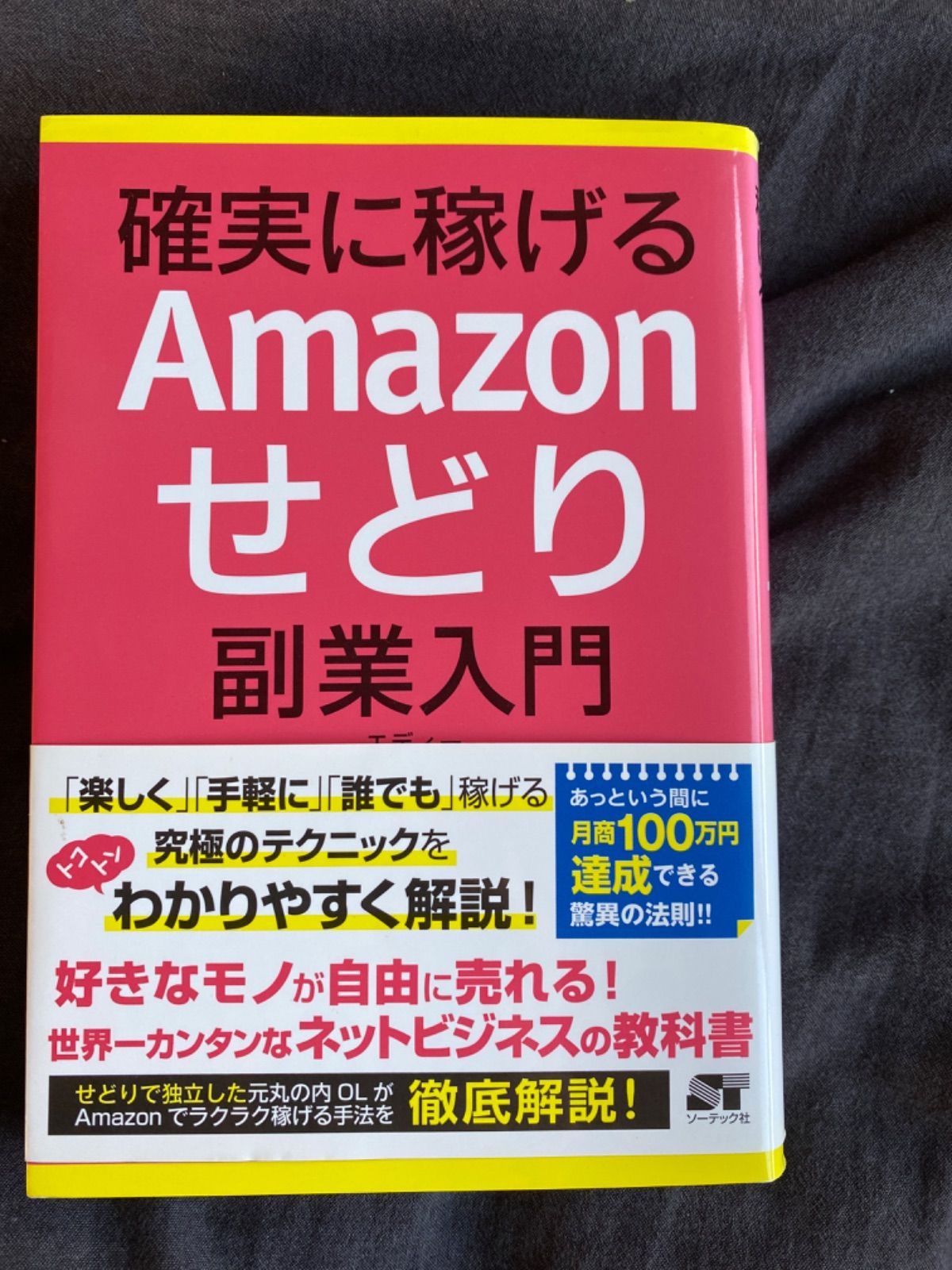 確実に稼げるせどり副業入門 - コンピュータ