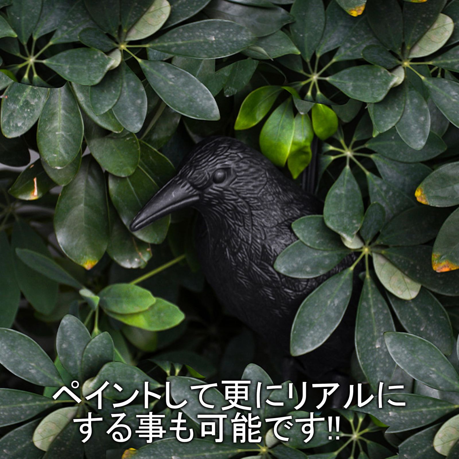 akindou カラスよけ