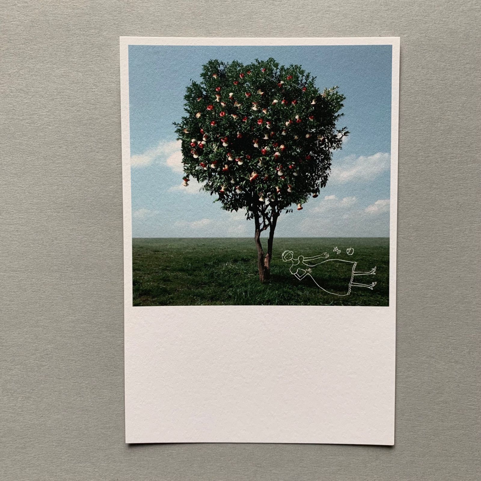 「Appled」ポストカード３枚セット　りんご　写真　ハガキ　白雪姫　アップル　景色-1