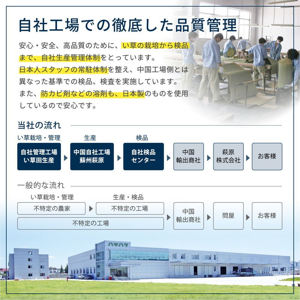 BHH1018723 い草上敷 柳川 (やながわ) 本間 8帖 8畳 双目織 お手頃